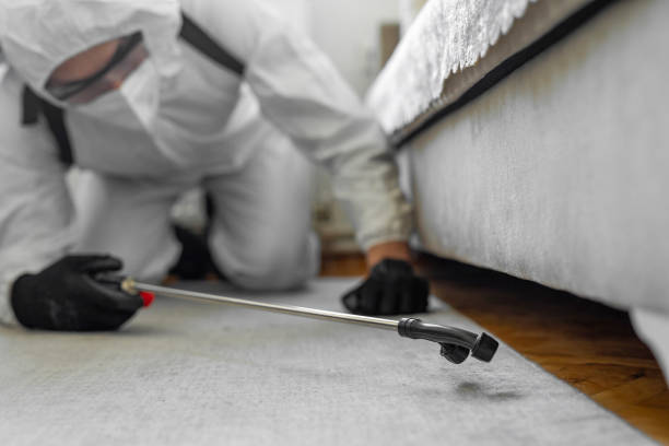 Professional Termite Control technician working in Waukegan, IL