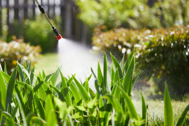 24/7 Emergency Termite Control experts in Waukegan, IL