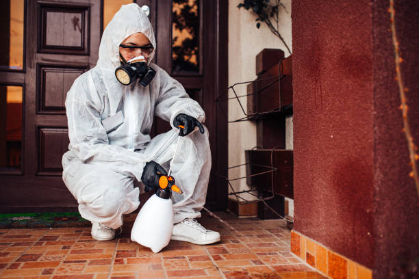 Reliable Termite Control contractor in Waukegan, IL by Nex Pest Control